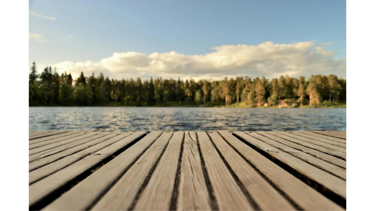 Dock overlooking a lake and forest.