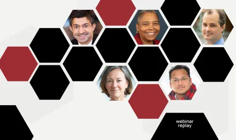 Graphic image of black and red hexagons where some feature photos of the Harvard representatives featured in the webinar replay