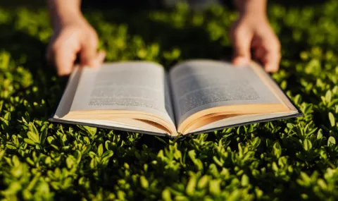 Photo of hands holding a book open in the grass